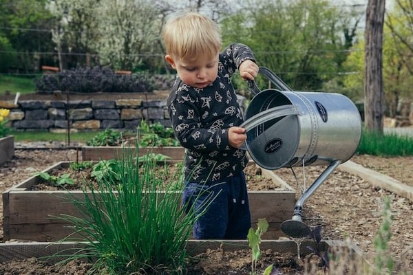 Préparer son jardin pour le printemps : les étapes essentielles pour bien démarrer la saison